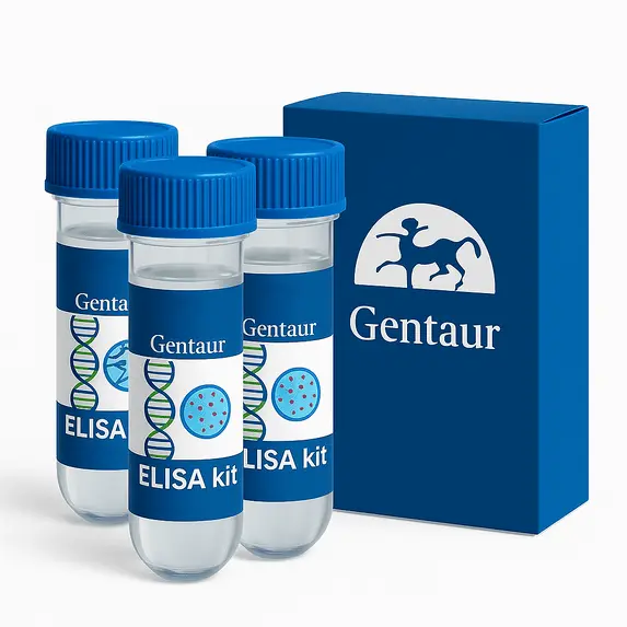 TGF- Beta1 (Mouse) ELISA - 96 Determinations