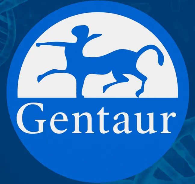 XIAP (Human) ELISA - 96 Determinations