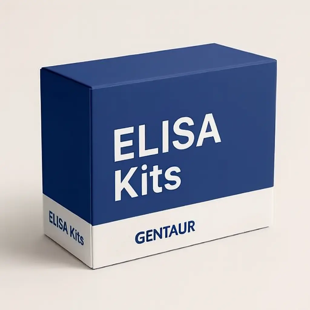 Human Endothelin Receptor B (ETRB) ELISA Kit