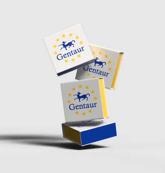 10xCapping Buffer GMP-grade