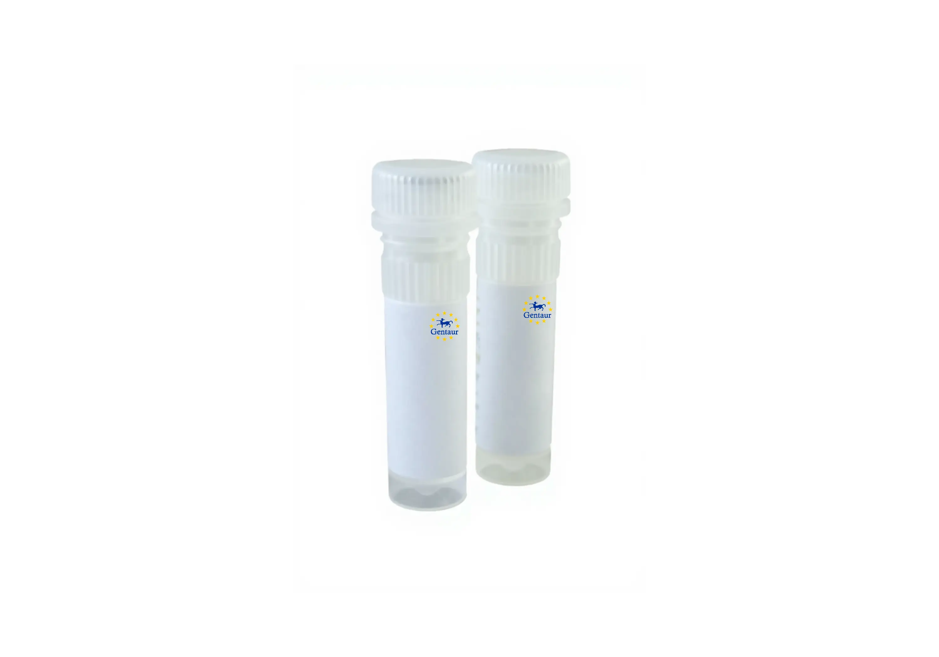  hifi ultra polymerase high fidelity proofreading including dntps 2units l concentration 200 units