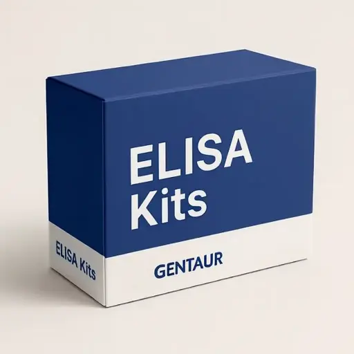 [elisa-sk19347] Human Electron Transfer Flavoprotein Alpha Polypeptide (ETFa) ELISA Kit