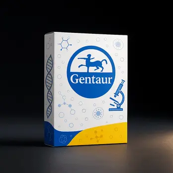 [FM-AX-IMAG-12T] Gentaur IMAG-12T Hand-Held Magnetic Separation Device - Each