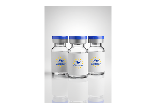 [GEN - HEAL-10] Seamless Cloning by HEAL