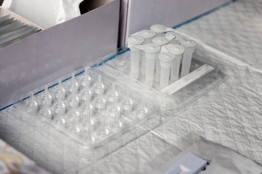 [GEN - BXS1004-4] Stemness Genes