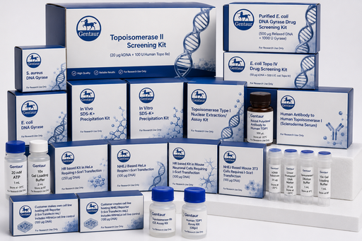 [DR5000 Custom-Sce] Customer creates cell line hosting NHEJ Reporter (I-Sce Transfectn req.) Includes iHNHeLa cell line control (50ug DNA)
